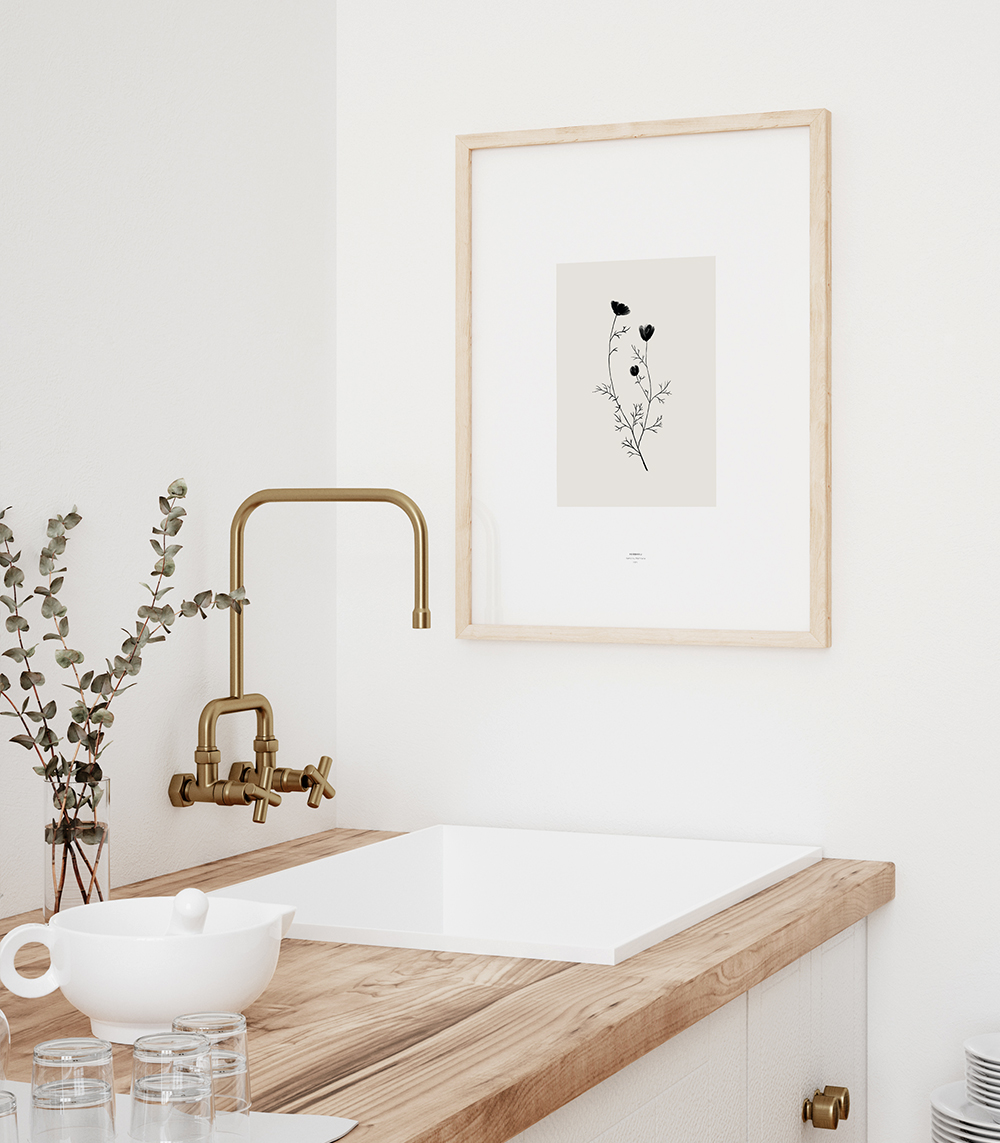 Herbarij 8 - Slika 2