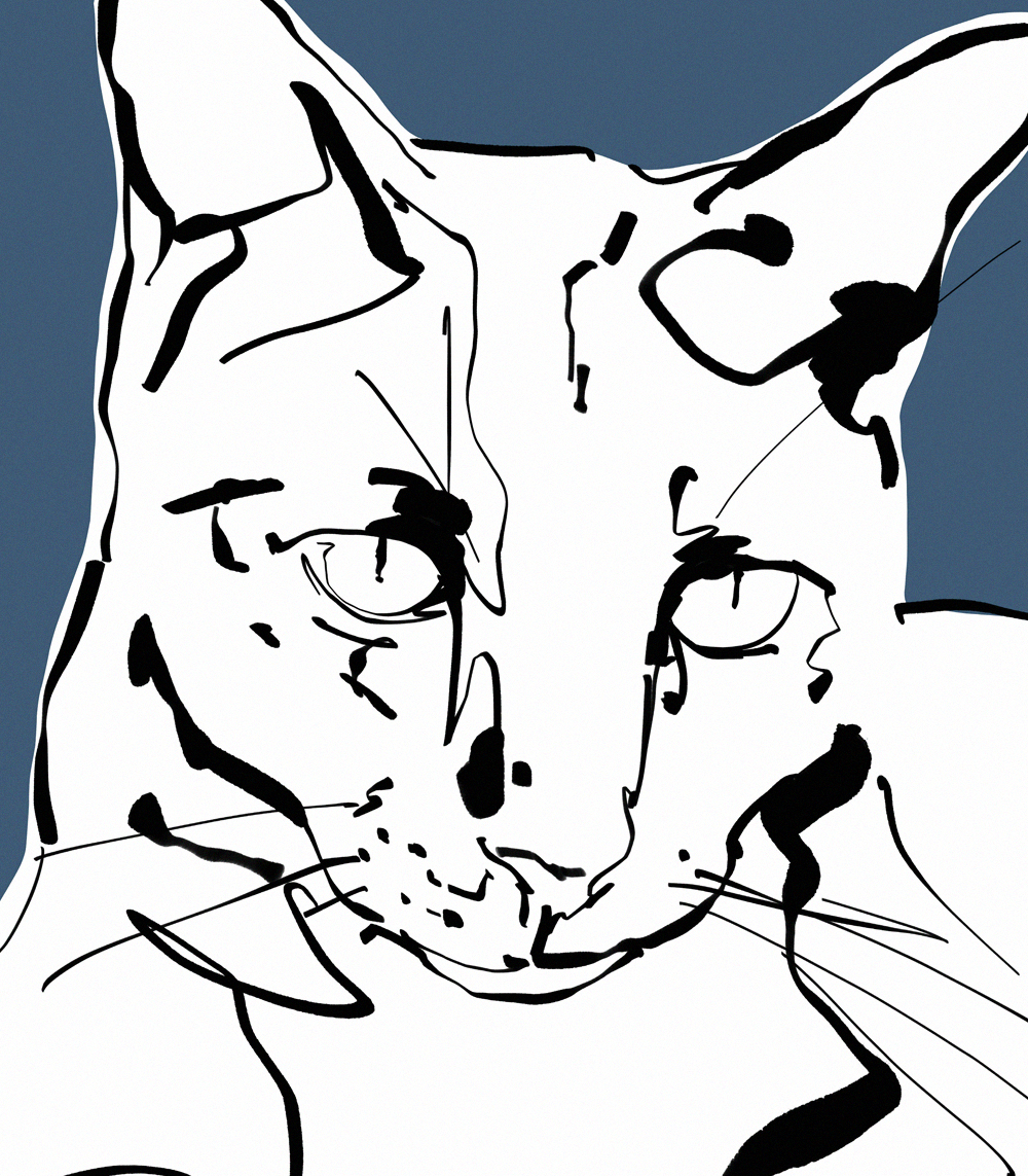 Pets poster 3 - Slika 3