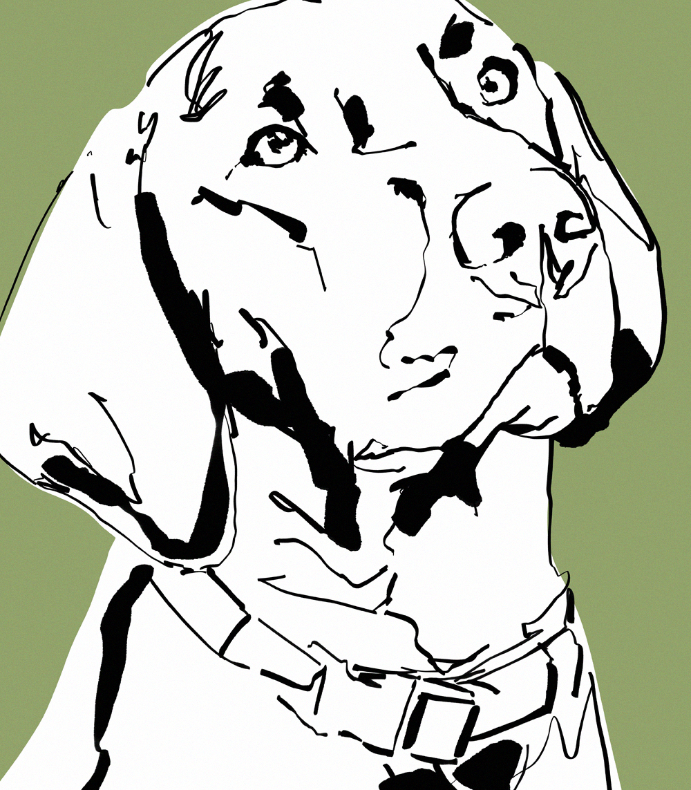 Pets poster 3 - Slika 5