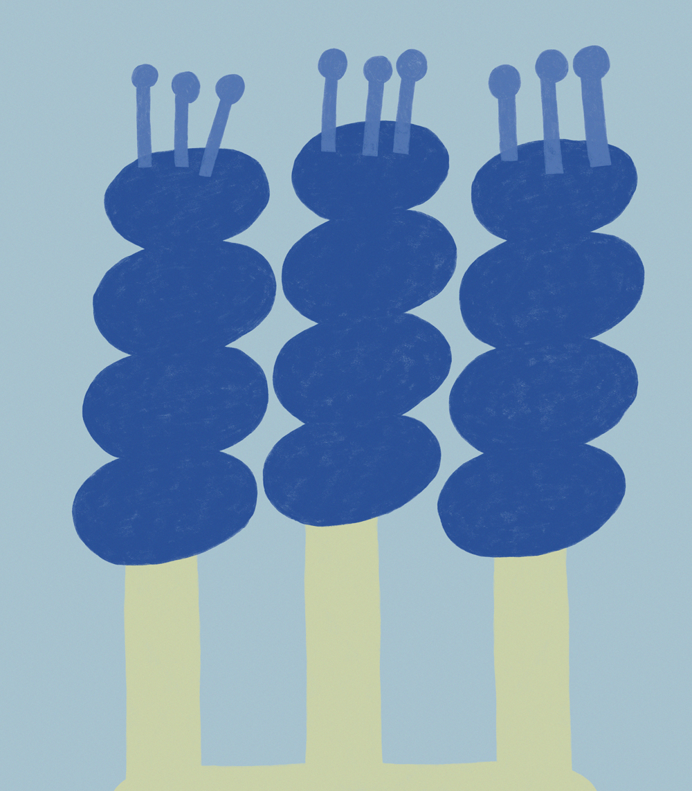 Razgranjena presličica - Image 3