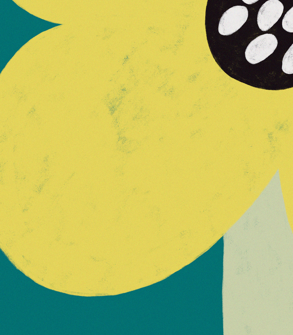 Trobridi sijedac - Image 3