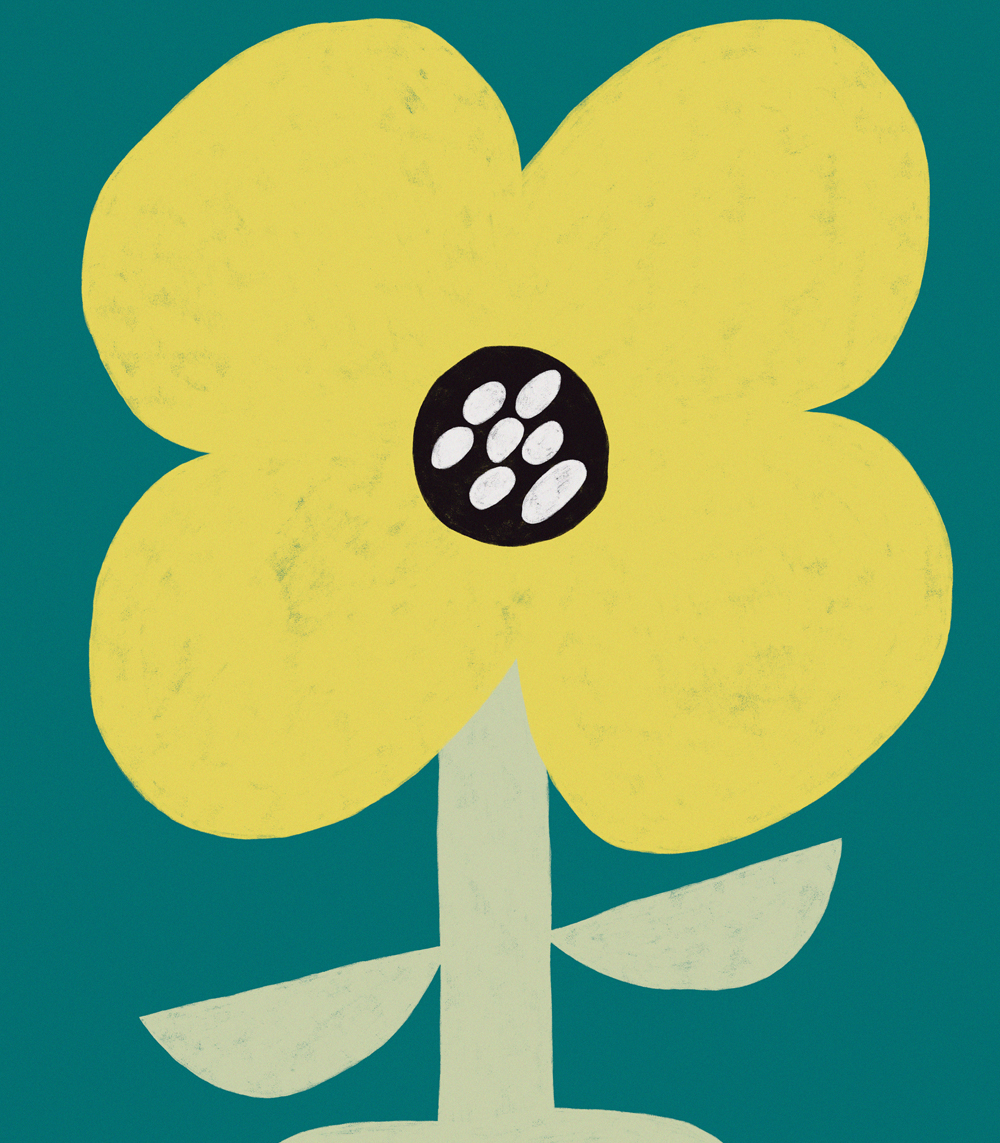 Trobridi sijedac - Image 2