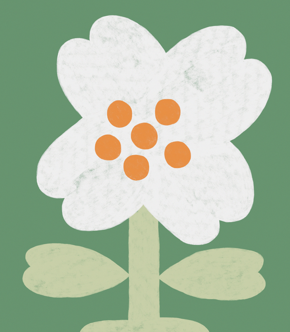 Velika šumarica - Image 3