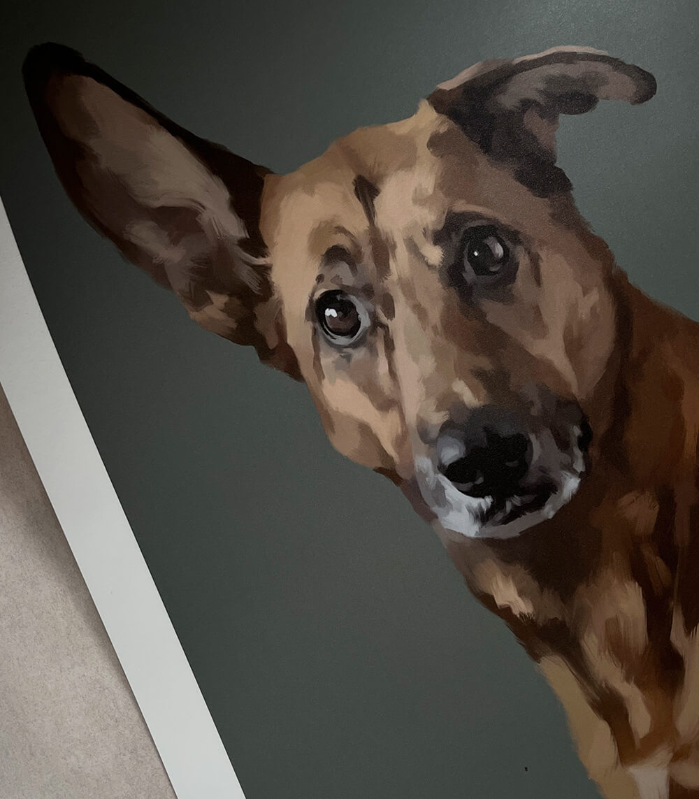 pets4