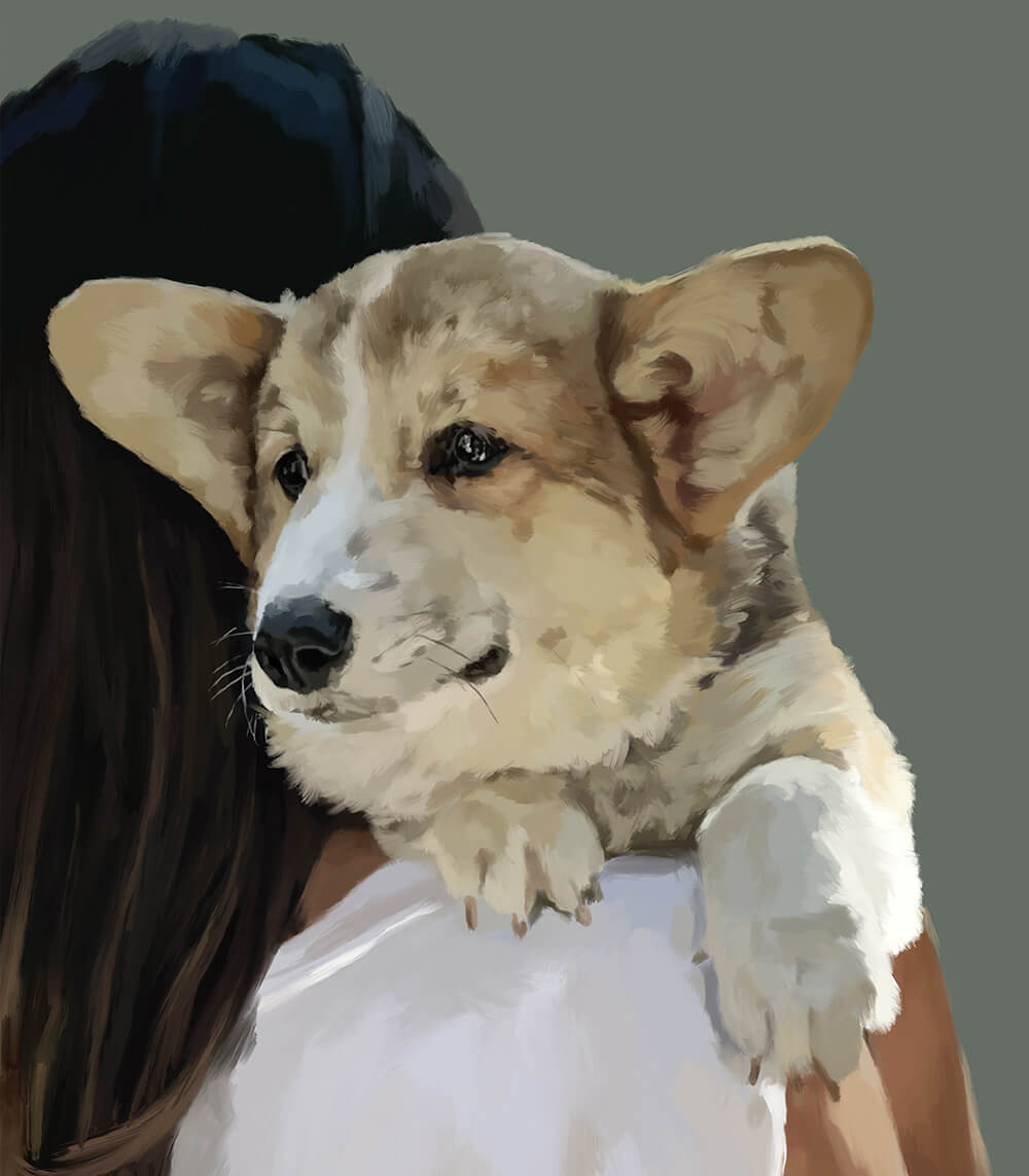pets7