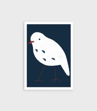 Kids Bird Collection